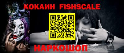 гашик Кингисепп