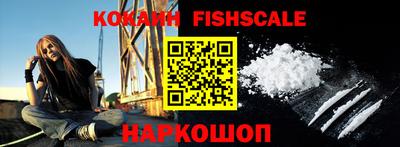 гашик Кингисепп