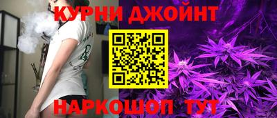 гашик Кингисепп