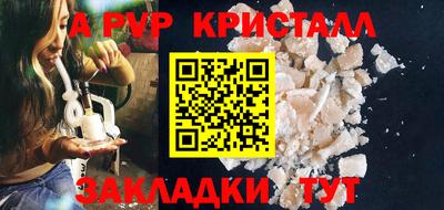 гашик Кингисепп