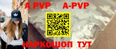 гашик Кингисепп
