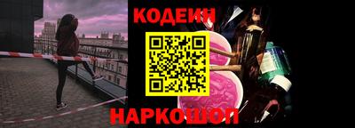 гашик Кингисепп