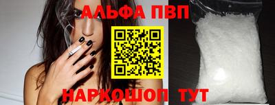 гашик Кингисепп