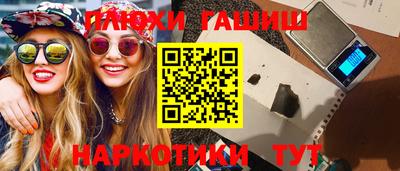 гашик Кингисепп