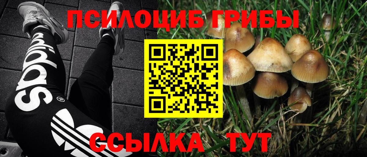 купить  цена  Вход с VPN  Галлюциногенные грибы GOLDEN TEACHER  Клин  Псилоцибиновые грибы ЛСД 